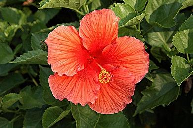 《仙剑奇侠传七》四名主角介绍 帅哥美女亮相